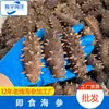 Sc Factory Venta al por mayor Pepino de mar Listo para comer Pepino de mar Cabeza Pequeña Pepino de mar Listo para comer Pepino de mar de Dalian Listo para comer Pepino de mar
