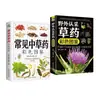Completa 3 Volúmenes de Ilustraciones Coloridas de Identificación de Medicina Herbal Silvestre, Medicina Herbal de Shennong, Enciclopedia de Medicina Herbal China, Identificación de Plantas Medicinales
