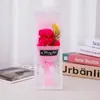 Dia das Mães Buquê de Cravos Artificiais Caixa de Presente Dia dos Namorados Dia da Mulher Buquê de Rosas de Sabão Presente