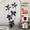 Planta Artificial Verde Grande Black Diamond Árbol de Goma Planta en Maceta de Interior para Sala de Estar Decoración de Planta de Árbol Imitación de Lujo Ligero de Gama Alta