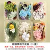 Kit de Materiales DIY de Flores Secas, Marco de Fotos, Abanico Redondo, Botella Flotante, Flores Preservadas, Materiales DIY, Decoración de Arreglo Floral con Flores Reales para Jardín de Infancia, Estilo Ins
