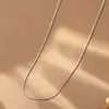 Ins Celebridad de Internet Estilo Europeo y Americano Simple Cadena Lisa de Acero de Titanio para Mujer Chapado en Oro de 18 Quilates Cadena Fina Collar Básico Versátil Joyería