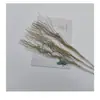 Set de Decoración Navideña Más Vendido con Plantas, Polvo Dorado, Ramas Huecas Caladas, Hojas de Plástico, Temática Festiva, Fuente Directa de Venta Transfronteriza