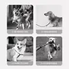 Juego de correa y arnés para perros más vendido transfronterizo para paseos al aire libre, con una correa retráctil automática, adecuado para Corgis y Shiba Inus