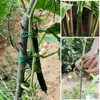 Blíster Suministros de Jardinería Alambre de Atar Recubierto de Plástico Correas de Amarre Hebillas de Fijación Alambre de Hierro Accesorios de Tubo de Acero Recubierto de Plástico para Conexión Especial
