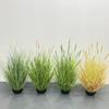 Flor Artificial Simples Rabo de Cachorro Junco Bonsai Enfeites Acessórios de Paisagismo para Jardim Decoração de Casa Enfeites de Chão