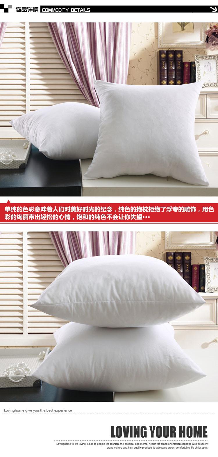 艾梦-超柔磨毛压花靠枕_03