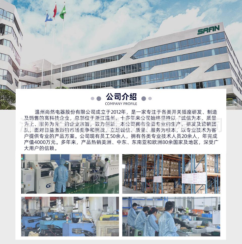 公司介绍