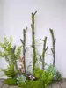 Ornatos Decorativos de Combinação de Galhos e Flores Secas para Paisagismo de Chão, Plantas Verdes para Decoração de Chão de Sala de Estar