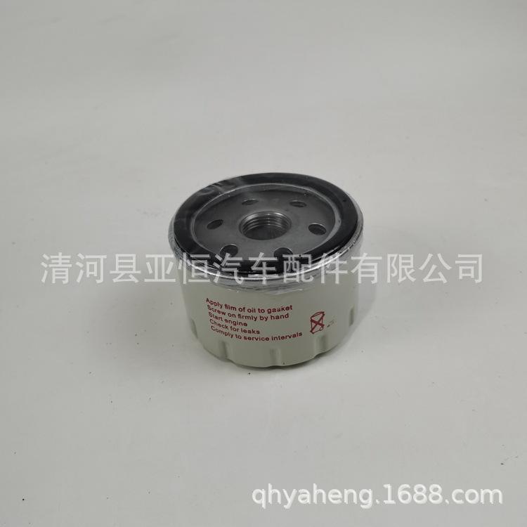 Z307-Y (13)