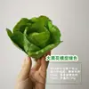 Modelo de Verdura Simulada Lechuga Falsa Repollo Brócoli Hojas Verdes Hojas de Shanghái Modelo de Gabinete Decoración para Casa