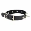 Collar Punk de Piel PU Estilo Gótico Oscuro Europeo y Americano Transfronterizo Harajuku Exagerado Retro Elegante Remache Púas