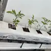 Tanque de Recolección de Polipropileno PP para Cultivo sin Suelo de Tomates, Pimientos, Frutas y Flores