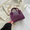 Moda Estilo Hong Kong Bolso Pequeño de Cadena Simple para Mujer Bolso Bandolera de Hombro Único Estilo Nuevo Invierno 2024 para Mujer Bolso Cuadrado Pequeño