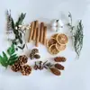 Casca de fruta faça você mesmo, pinha, lascas de madeira, folhas, flores secas, combinação de frutas secas, decoração de natal, decoração de jardim de infância, adereços retrô