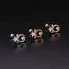 Haste Fina 0.8X6 Pérola para Cílios Osso da Orelha Unha Rosca de Aço Inoxidável Zircônia Unha de Orelha Feminina Criativa Simples Joia de Piercing