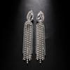 Brincos de borla de strass novos transfronteiriços moda europeia e americana sexy gota de água Brincos personalidade acessórios brincos femininos