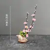 Decoração de Apresentação de Pratos de Restaurante de Hotel com Flores e Plantas, Decoração de Bandeja de Sashimi e Frutos do Mar, Guarnição de Sushi Japonês, Enfeites Criativos