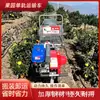 Transportador de Trilha Única Transportador de Carga para Subida Pomar de Montanha Monotrilho Transportador Trem sobre Trilhos Autopropelido