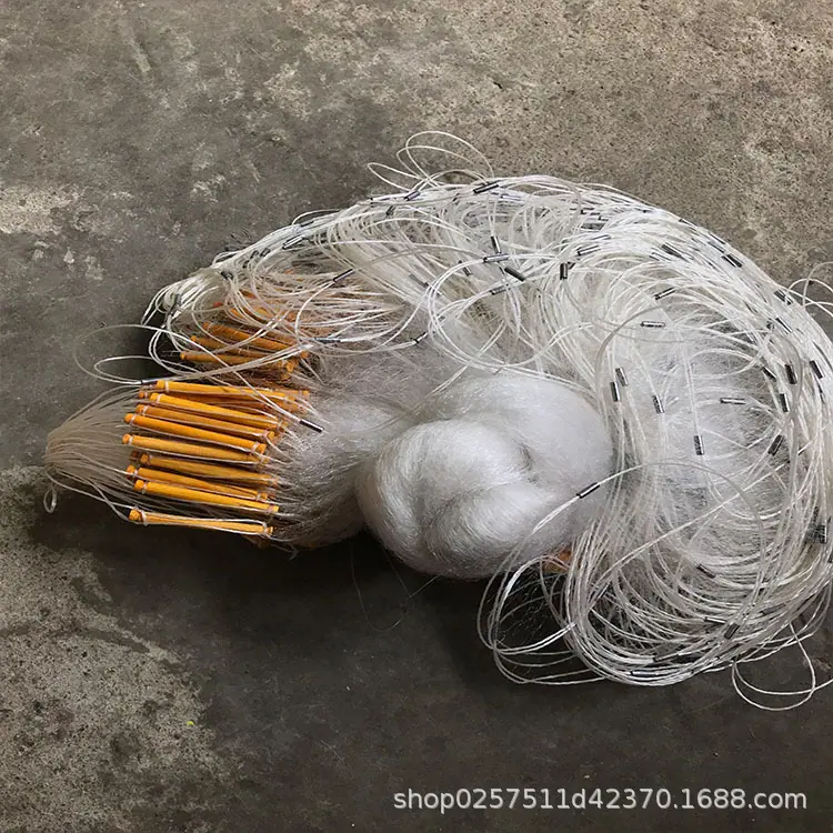 阿里6.jpg
