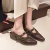 Zapatos de Mujer con Forro de Felpa Heattech Mary Jane Zapatos de Mujer con Plataforma Interior Zapatos Planos para Mujer 2025 Otoño e Invierno Nuevos Zapatos Planos Zapatos Peludos para Mujer