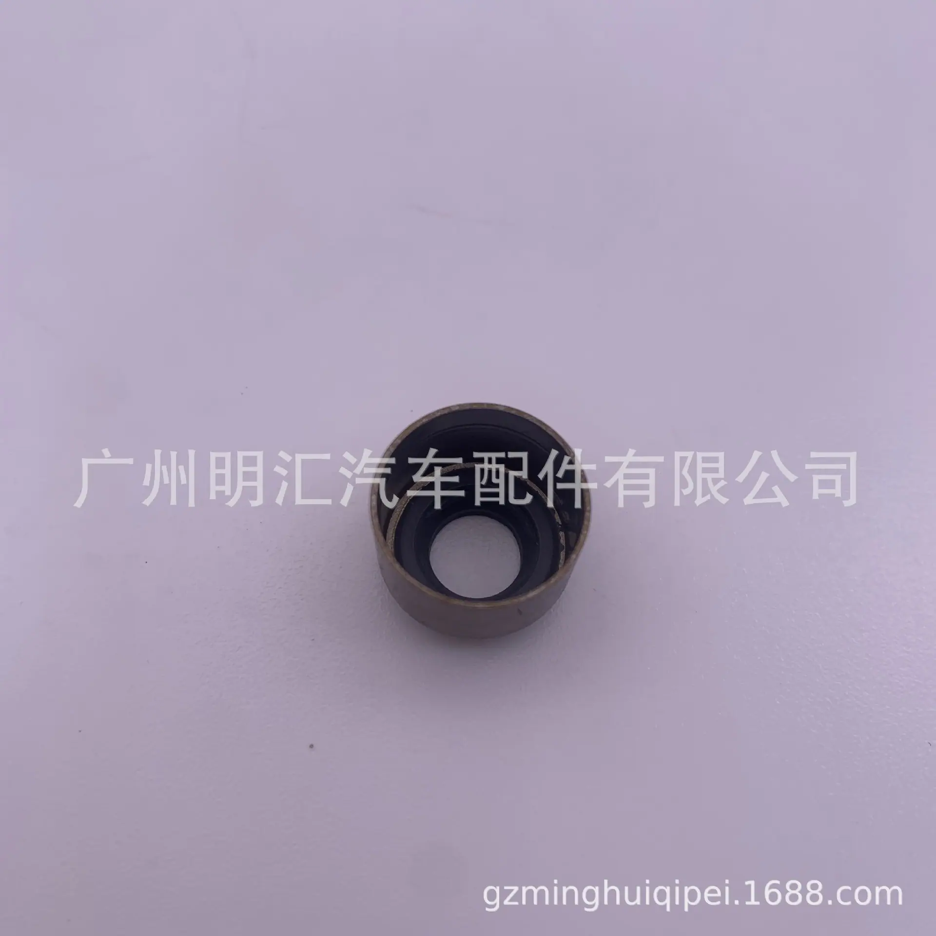 83BA6295850C3770205C65C7EE217E