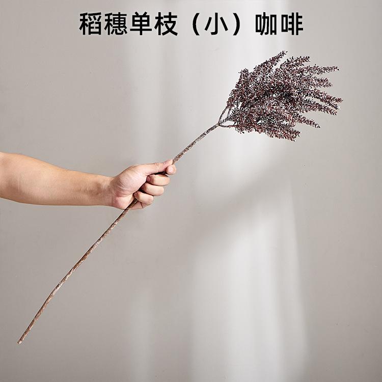 稻穗单枝（小）咖啡
