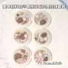 Ventas Directas de Fábrica Piezas de Concha de Diamante Champagne Paquete de Materiales para Manicura de Perlas de Colores Caja Decoración de Materiales para Uñas