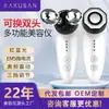 Masajeador EMS de Reemplazo Doble Cabezal Ruso Microcorriente Vibración Lifting Dispositivo de Belleza Luz Roja y Azul Introducción Dispositivo de Belleza