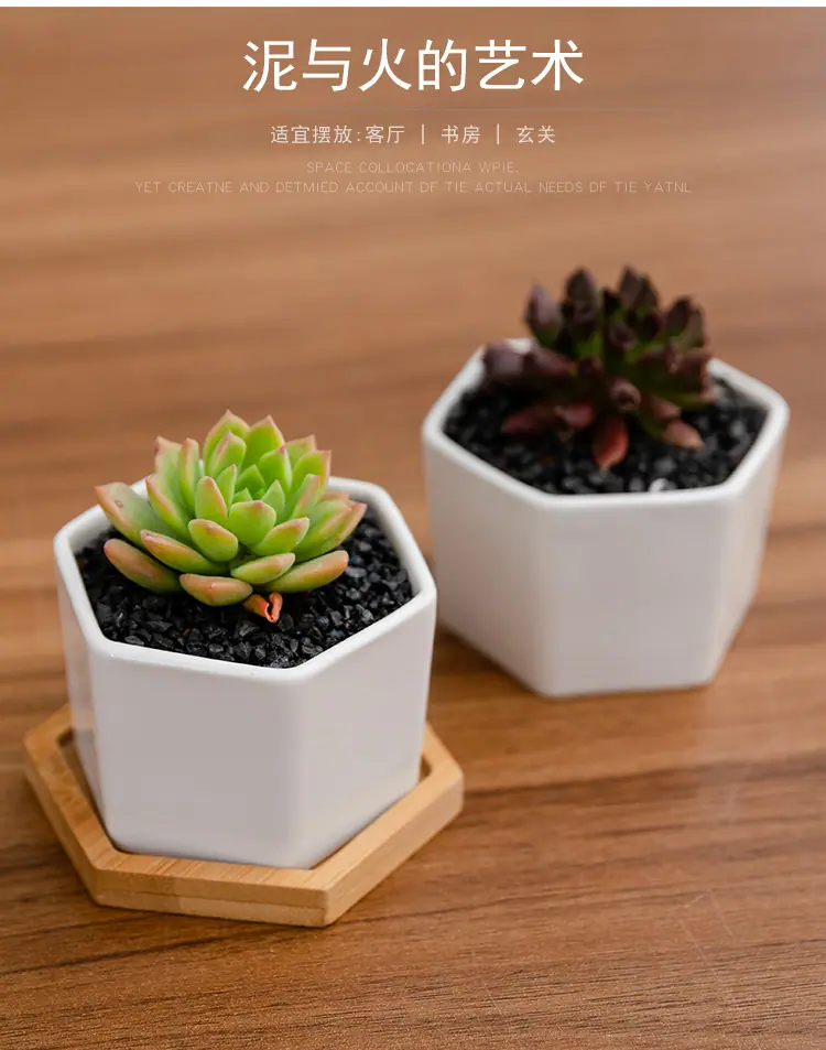 花盆18_04.jpg