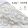 Hojas de Col Iridiscentes DIY Pegamento en Crema Funda para Teléfono Materiales de Resina Accesorios Nuevos Creativos Accesorios para el Cabello Venta al por Mayor