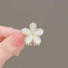 Pinza Pequeña de Aleación para Cabello Semi-Recogido, Accesorio para el Cabello, Pasador Pequeño, Nuevo Accesorio de Gama Alta para Cabello Corto, Adorno para el Cabello de Pinza Lateral, Pasador