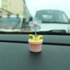 Nueva maceta pequeña y creativa, fresca y transparente, con cinco colores de flores, para el coche, como adorno para la consola central del interior.