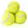 Tienda de Fábrica-Alta Elasticidad de 63 Mm (Pelota de grado a) Juguete para Mascotas Entrenamiento Pelota para Lanzar Reutilizable