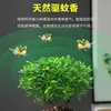 Repelente de Mosquitos, Madera de Pimienta Fragante, Plantas Verdes de Interior en Maceta, Fácil de Cultivar, Absorbe Formaldehído, Plántulas de Flor Jiuli Xiang, Cultivo en Agua
