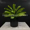 Planta de Simulação Sala de Estar Vasos Chão Janela Decoração Paisagem Interna Decoração Sisal Agave Verde Vermelho de Simulação
