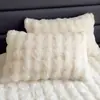 Par de Fronhas de Pelúcia de Pelo de Coelho para Inverno, Espessadas com Veludo de Leite, Capa para Enchimento de Travesseiro de Fleece Coral, Peça Única
