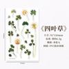 Coreia do Sul Papelaria Criativa Flor Transparente Adesivo de PVC Flor Planta Diário Caderno Decorativo Adesivo Copo de Água