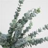Hojas de Planta Simuladas de Alta Calidad Nórdicas con Hojas de Dinero Escarchadas Decoración de Boda para el Hogar Plantas Verdes Bonsái Venta al por Mayor