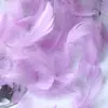 Cor de macaron pena pequena pena de ganso flutuante pequena decoração de casamento festival palco material de enchimento de caixa de presente atacado