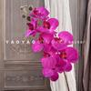 Orquídea Borboleta de 8 Cabeças Livro Vermelho Caixa de Doces Material Decoração Macia Design Floral Dispositivo Adereços de Fotografia Casa Modelo