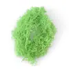 Musgo Eterno Musgo Colorido Paisagem em Miniatura DIY Plantas Verdes Decorativas Multi-Colorido Opcional Enfeite Galhadas Decorativas Musgo