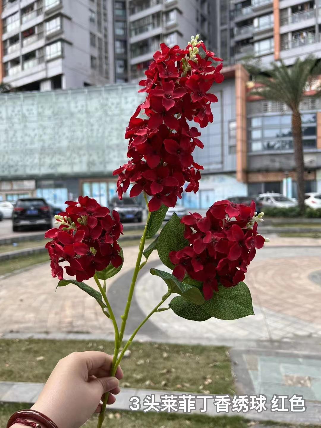 微信图片_20230903151334