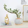 Bonsai Neve de Junho Estilo Cascata Hidropônico Bonsai de Escritório de Mesa Interna Planta de Folhagem Fácil de Cultivar Mesa de Centro Flor Hidropônica