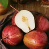 Selección Premium Pera Arcoíris Rara de Shaanxi, disponible para entrega 3/ 2.5kg Grandes, dulces, crujientes, peras frescas de temporada