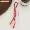 Colgante de Cordón Multifuncional de Colores, Correa Personalizada Anticaída para Teléfono, Llavero, Correa Larga Tejida Trendy de Dopamina para Bolso