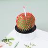 [Fiesta Carnosa] Velas creativas de planta de cactus carnoso redondo, regalo de cumpleaños, inauguración de casa, adornos de oficina