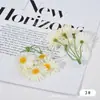 Novo Produto Flores Artificiais Crisântemo de Cinco Pétalas Cordão DIY Margarida Pequena Decorativa Flor de Seda Flor Falsa Guirlanda Artesanal Material para Adorno de Cabeça
