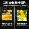 Jiu Mi Xiao Hui, arroz negro aromático medicinal Jiu Mi, cebo para pesca salvaje Jiu Mi, cebo de atracción rápida de peces
