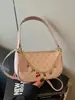 Bolsa Feminina Estilo Casual 2025 Novo Modelo Bolsa de Ombro com Toque de Luxo Bolsa Bolinho Leve Luxo Moda Retrô Bolsa de Ombro Transversal Tendência